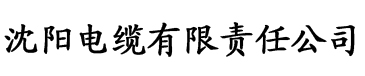 樱桃视频黄色视频电缆厂logo